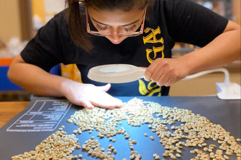 Does Coffee Contain Toxins?