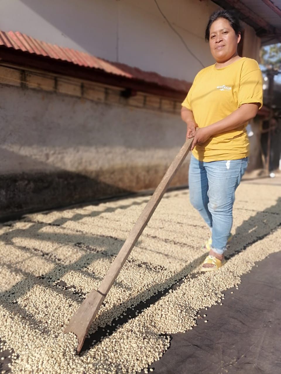 Mayorga Coffee