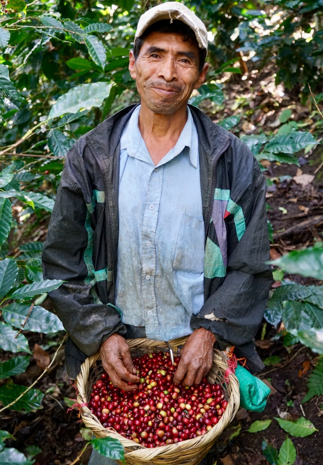 Mayorga Coffee