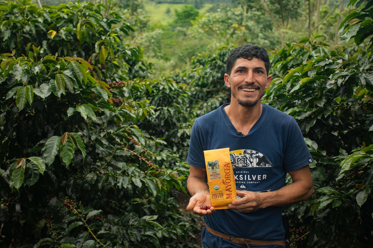 Mayorga Coffee