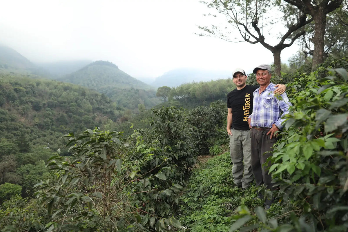 Mayorga Coffee