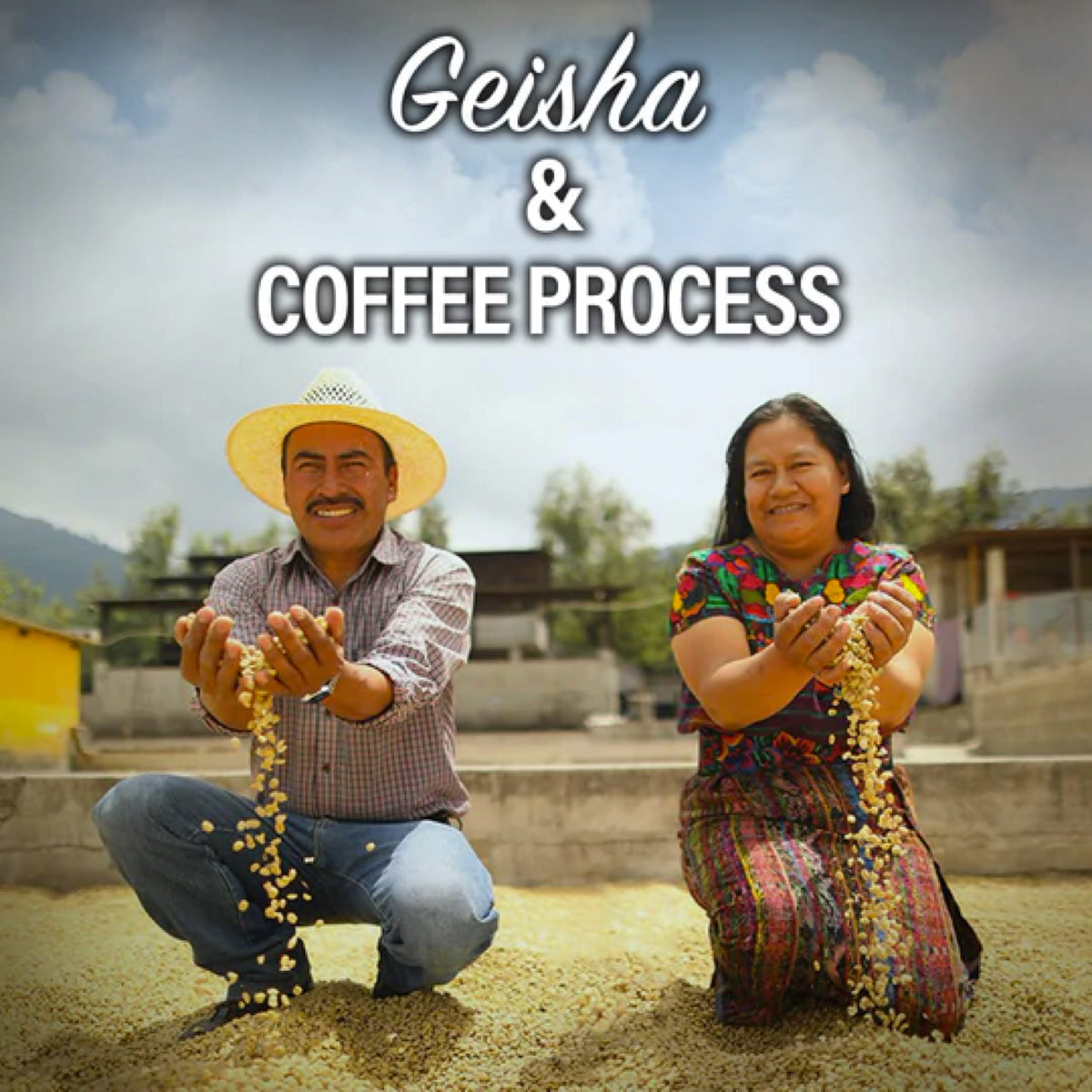 Mayorga Coffee