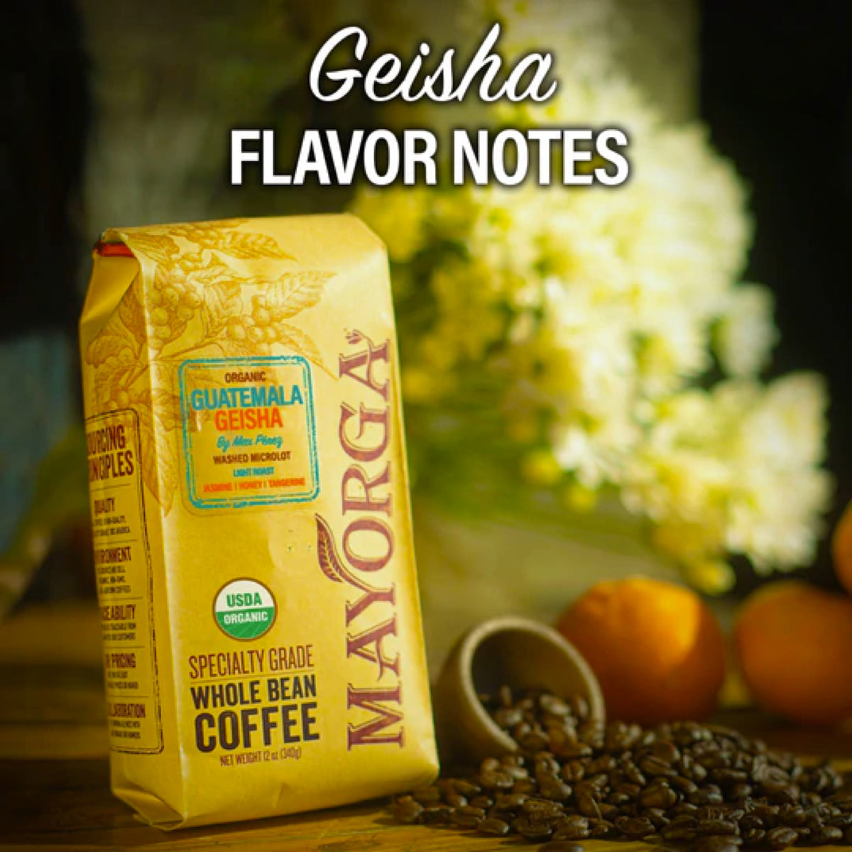Mayorga Coffee