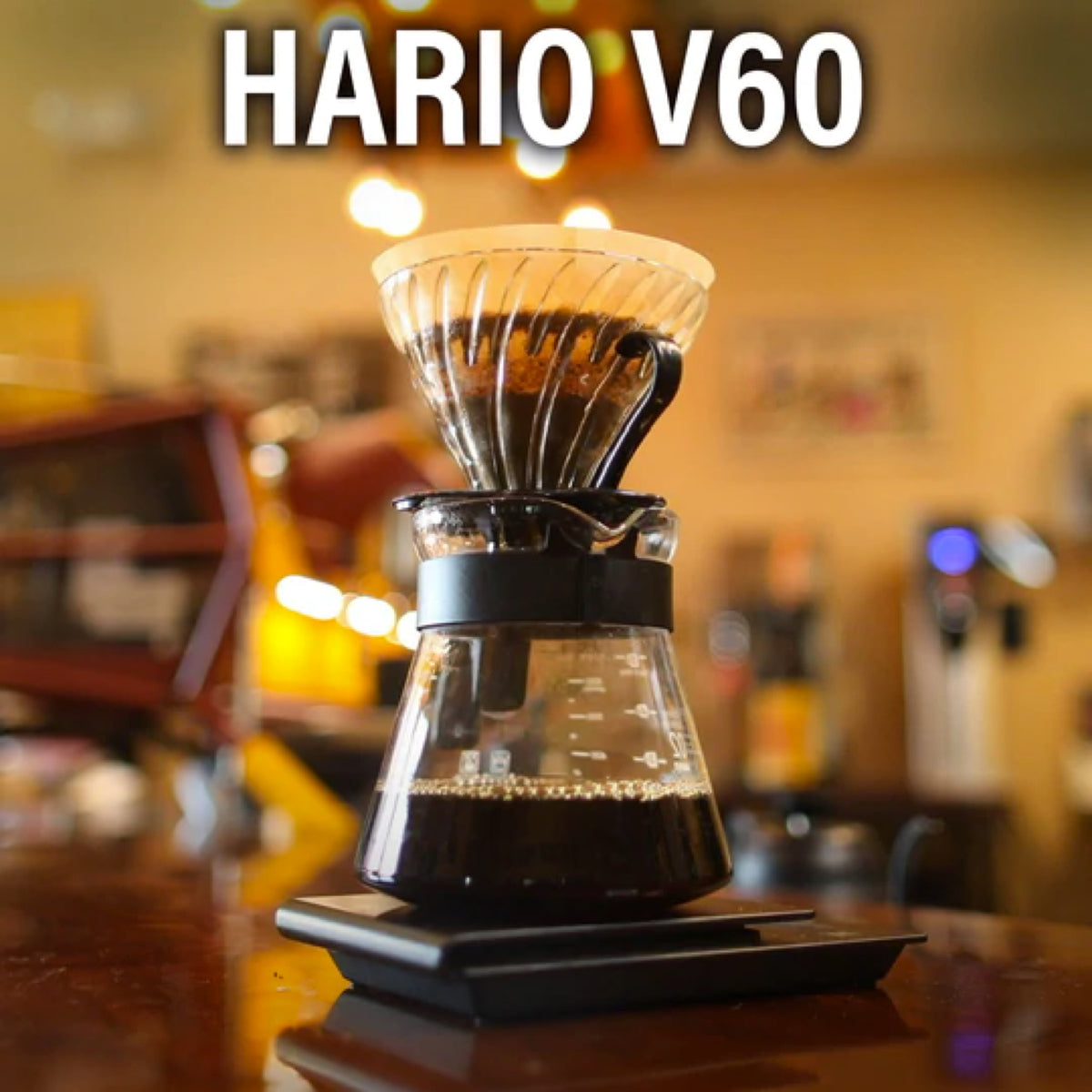 Mayorga Coffee