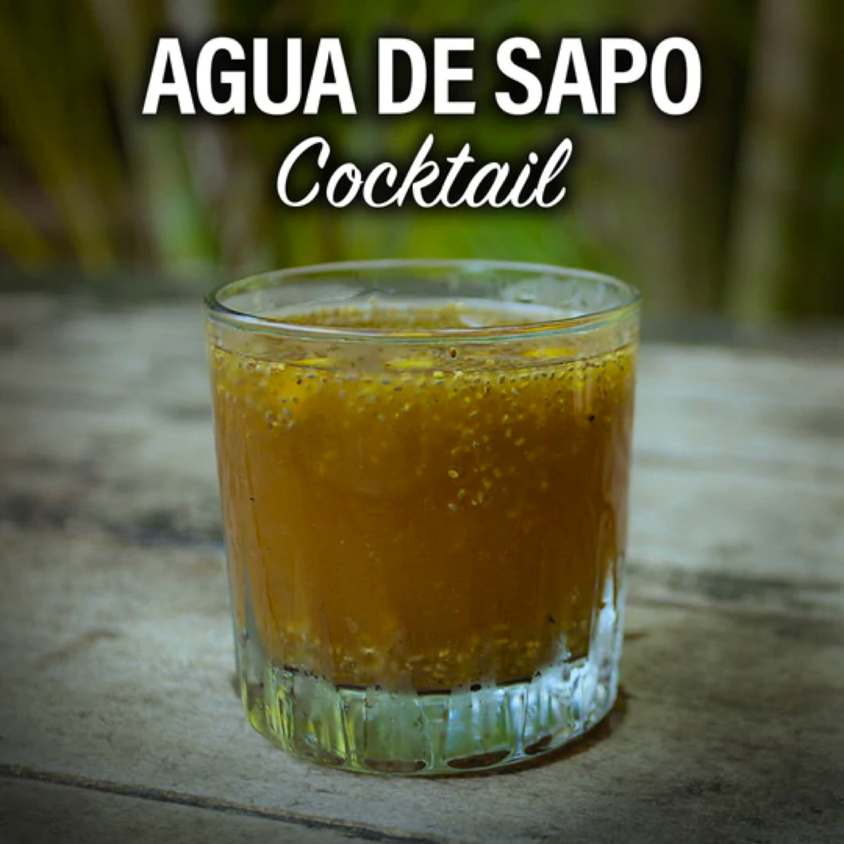 Mayorga Coffee