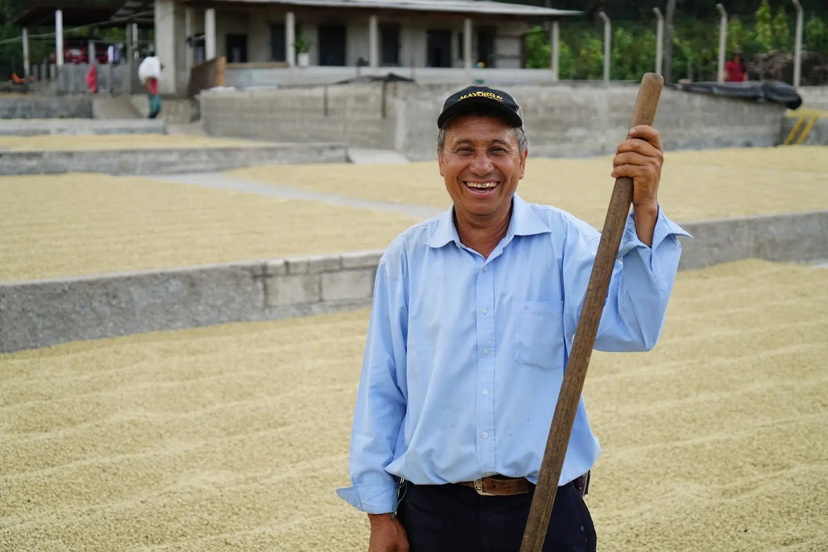 Mayorga Coffee