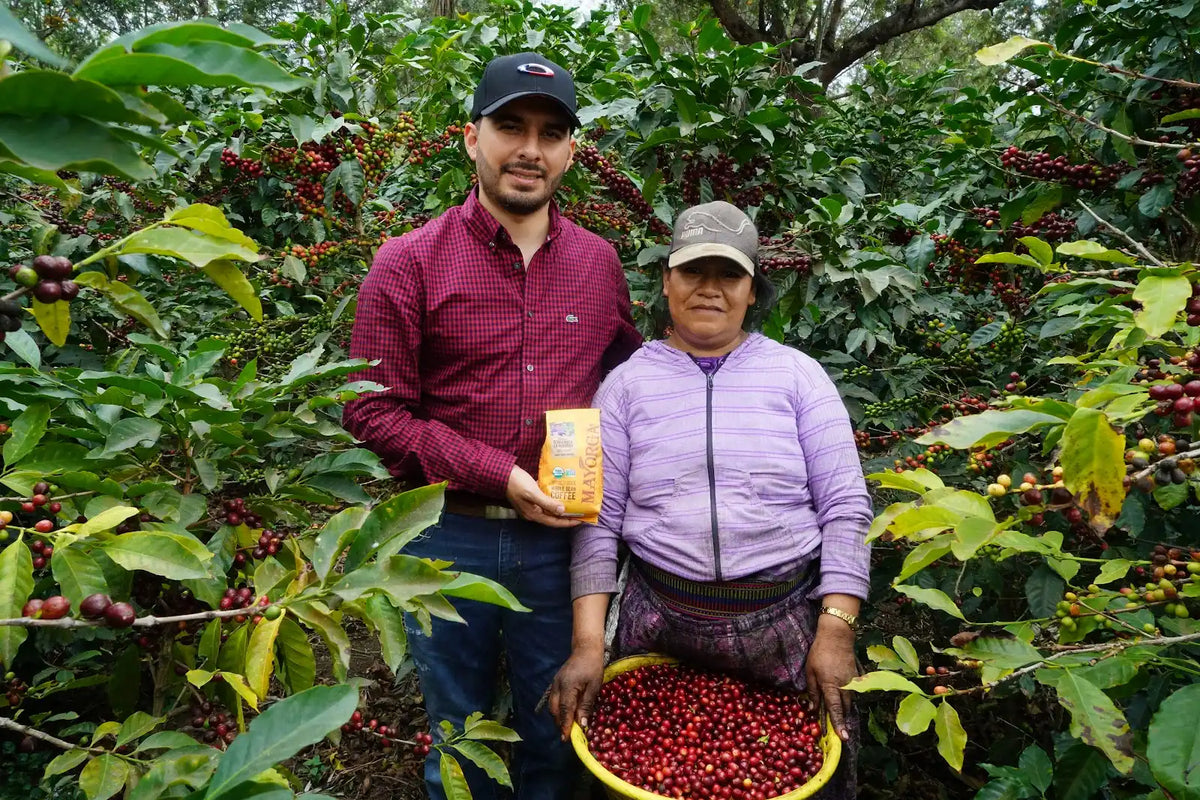 Mayorga Coffee