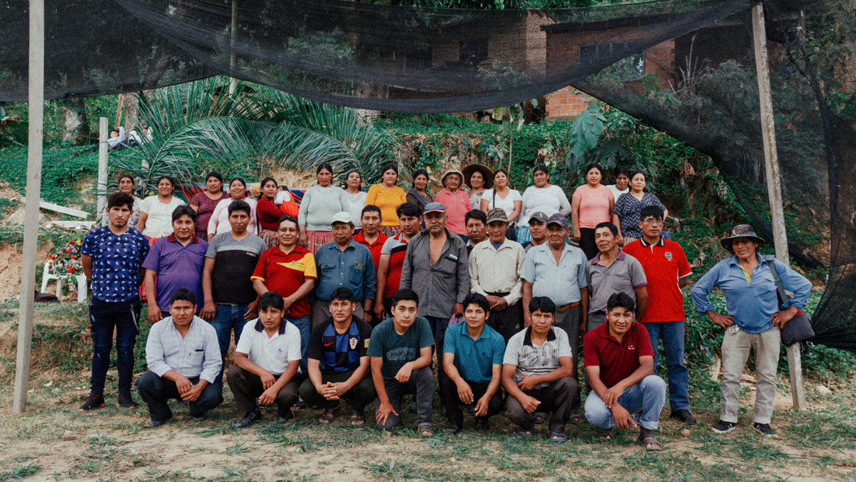 Mayorga Coffee