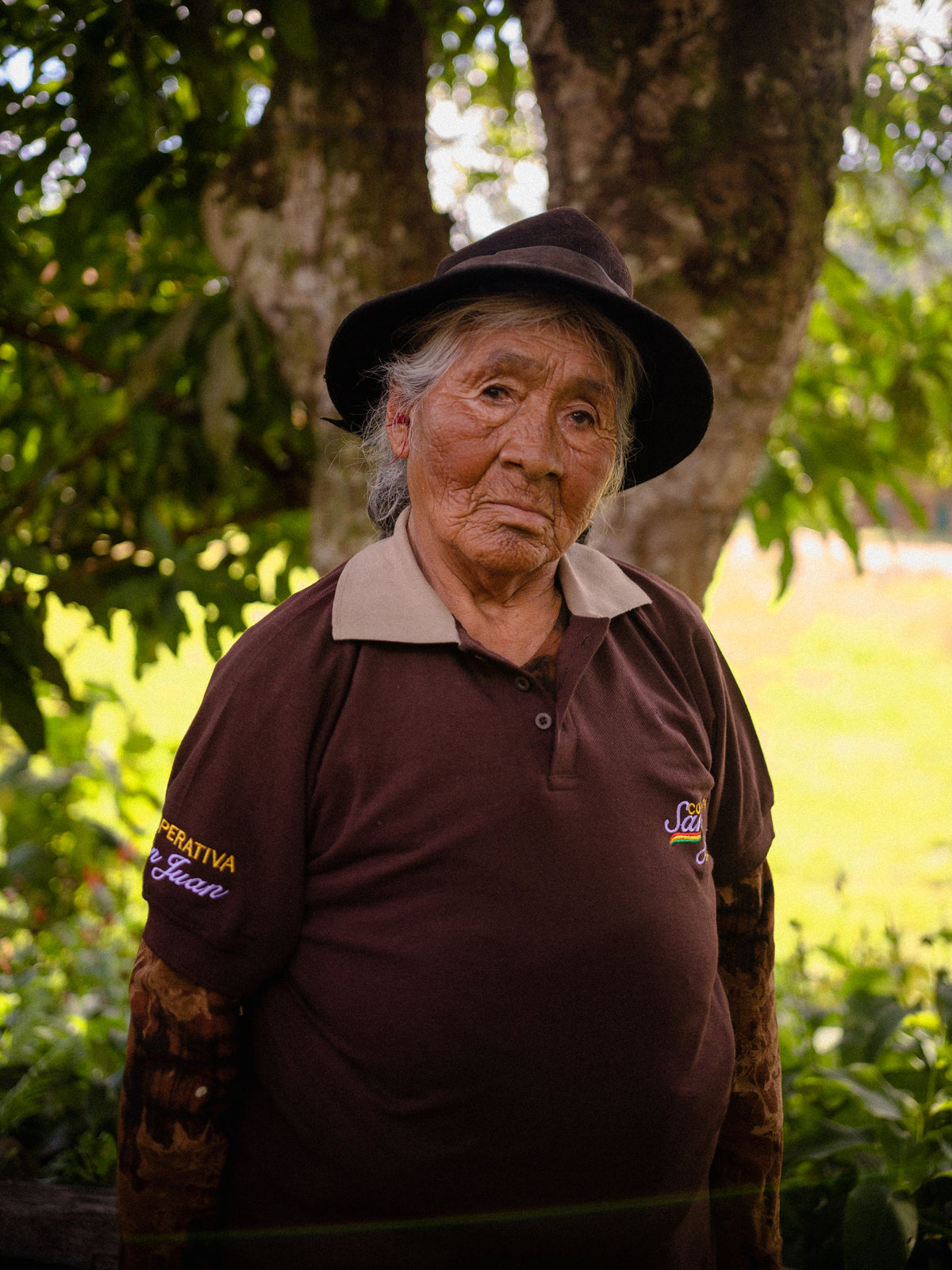 Mayorga Coffee